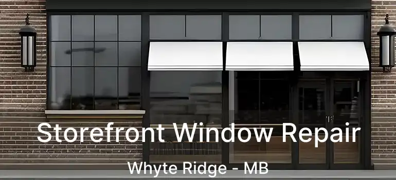  Storefront Window Repair Whyte Ridge - MB