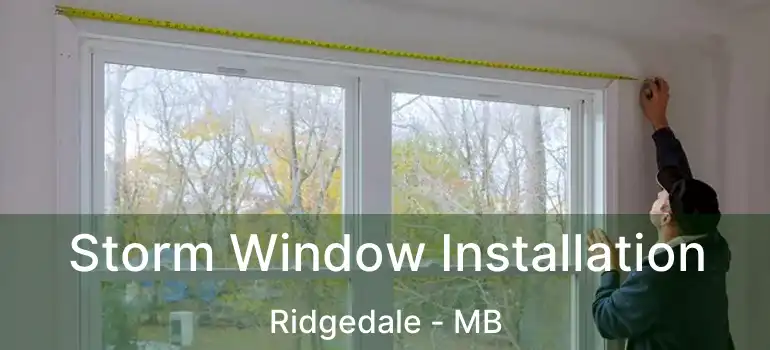  Storm Window Installation Ridgedale - MB