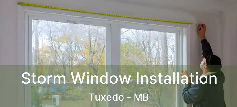  Storm Window Installation Tuxedo - MB