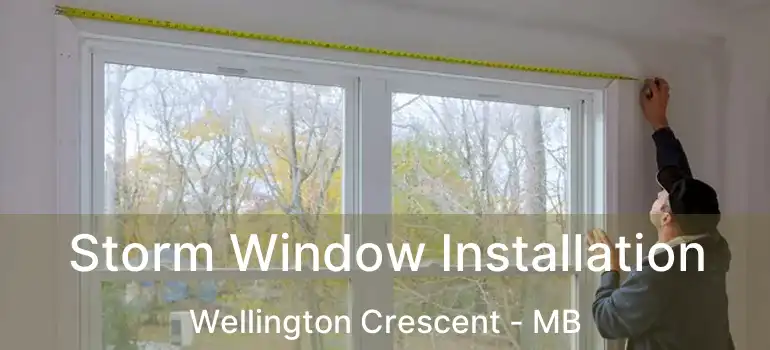  Storm Window Installation Wellington Crescent - MB