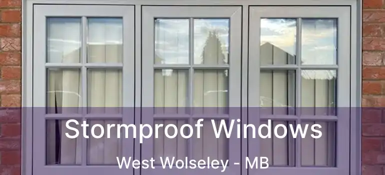  Stormproof Windows West Wolseley - MB