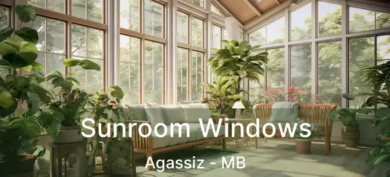  Sunroom Windows Agassiz - MB