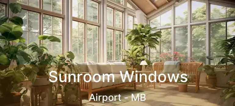  Sunroom Windows Airport - MB