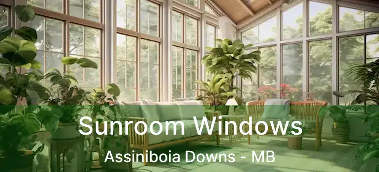  Sunroom Windows Assiniboia Downs - MB