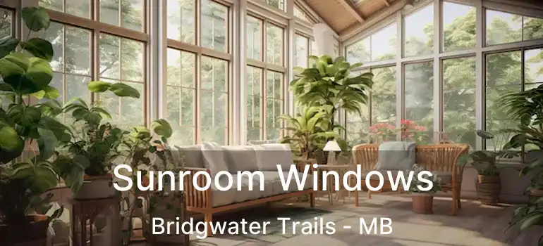  Sunroom Windows Bridgwater Trails - MB