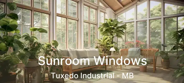  Sunroom Windows Tuxedo Industrial - MB