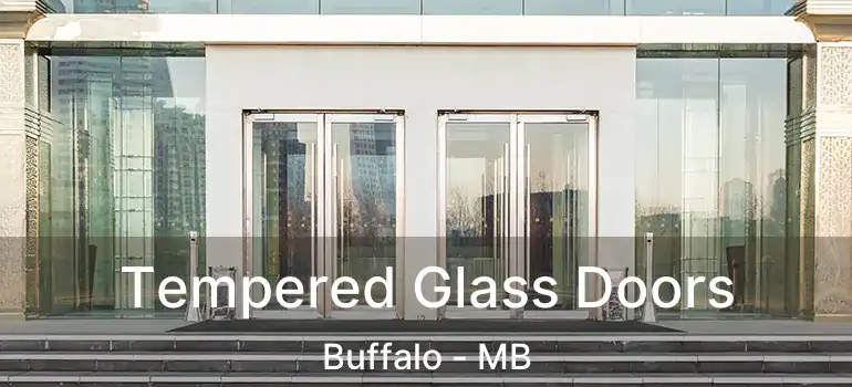  Tempered Glass Doors Buffalo - MB
