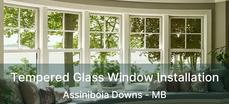 Tempered Glass Window Installation Assiniboia Downs - MB