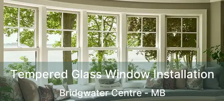  Tempered Glass Window Installation Bridgwater Centre - MB