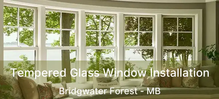  Tempered Glass Window Installation Bridgwater Forest - MB