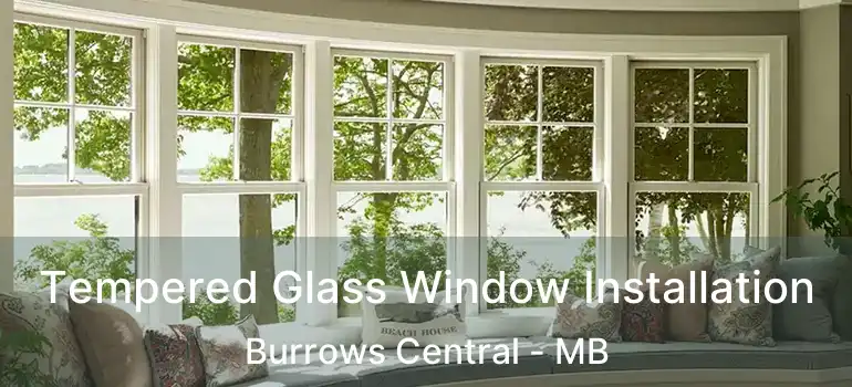  Tempered Glass Window Installation Burrows Central - MB
