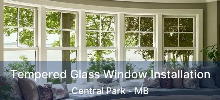  Tempered Glass Window Installation Central Park - MB