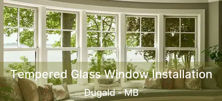  Tempered Glass Window Installation Dugald - MB