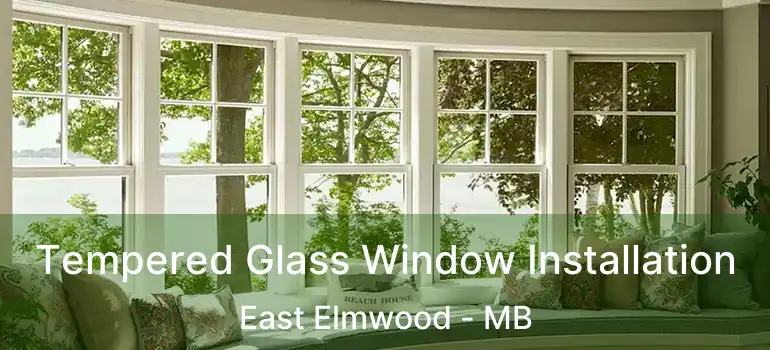  Tempered Glass Window Installation East Elmwood - MB