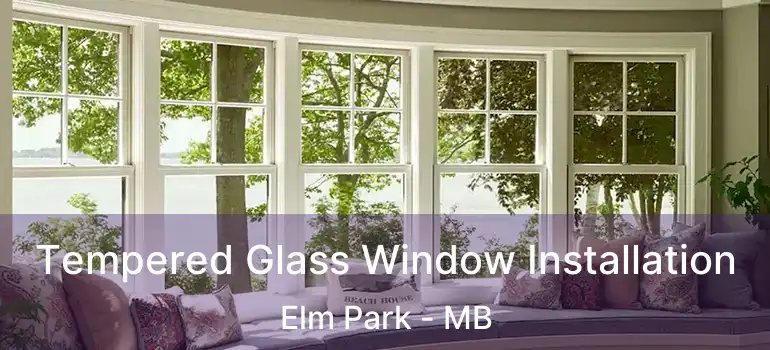  Tempered Glass Window Installation Elm Park - MB