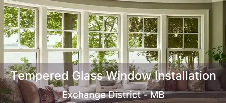  Tempered Glass Window Installation Exchange District - MB