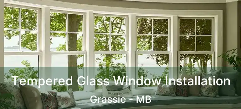  Tempered Glass Window Installation Grassie - MB