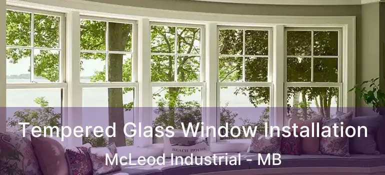  Tempered Glass Window Installation McLeod Industrial - MB