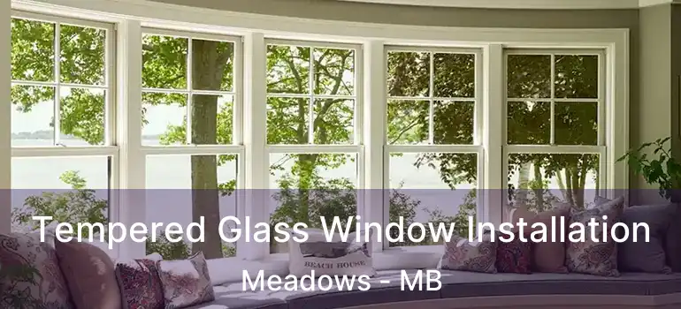  Tempered Glass Window Installation Meadows - MB