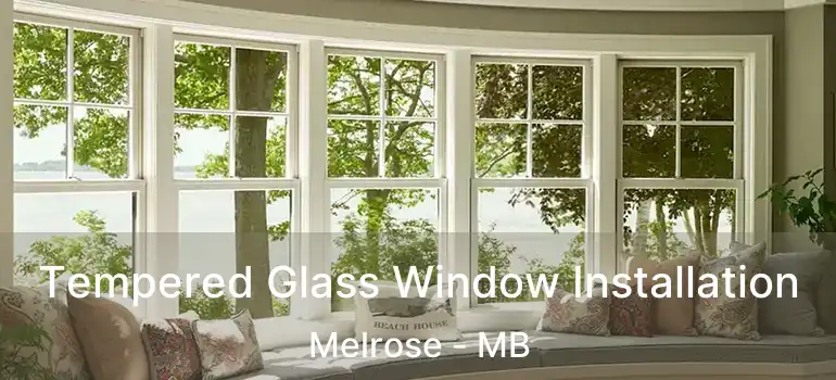  Tempered Glass Window Installation Melrose - MB
