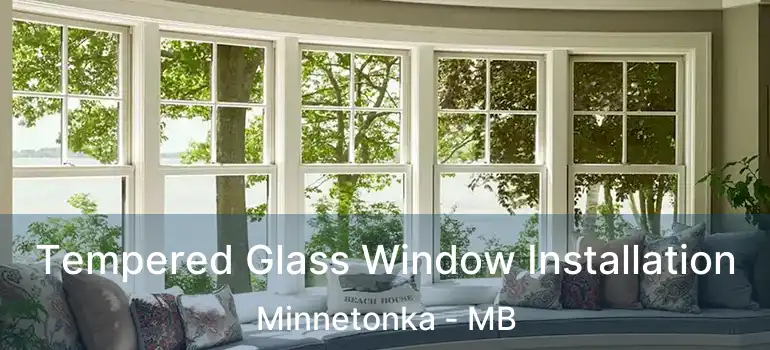  Tempered Glass Window Installation Minnetonka - MB