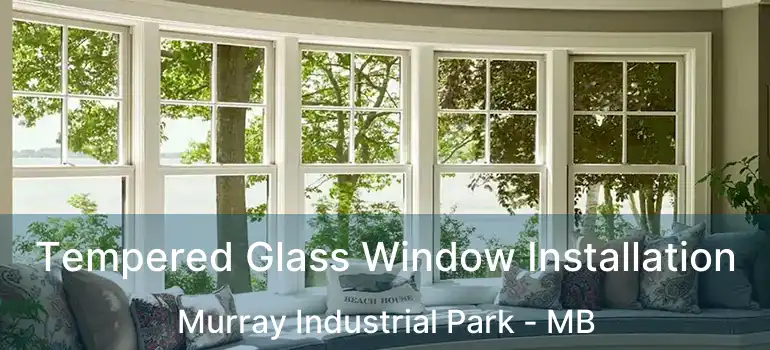  Tempered Glass Window Installation Murray Industrial Park - MB