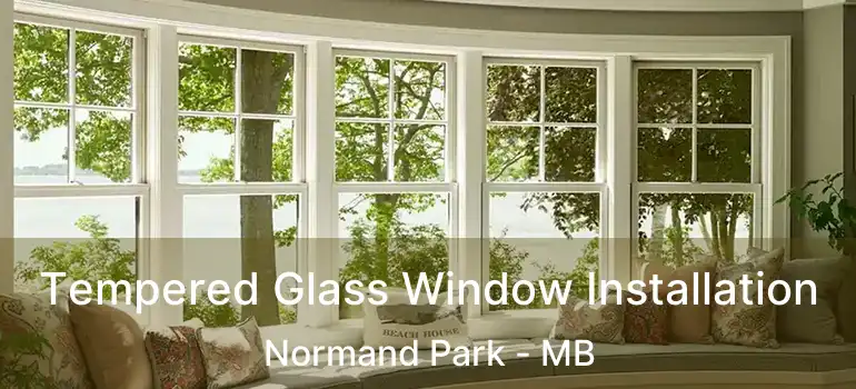  Tempered Glass Window Installation Normand Park - MB
