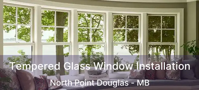  Tempered Glass Window Installation North Point Douglas - MB