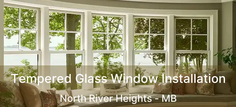 Tempered Glass Window Installation North River Heights - MB