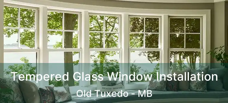  Tempered Glass Window Installation Old Tuxedo - MB
