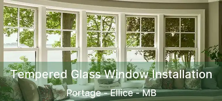  Tempered Glass Window Installation Portage - Ellice - MB