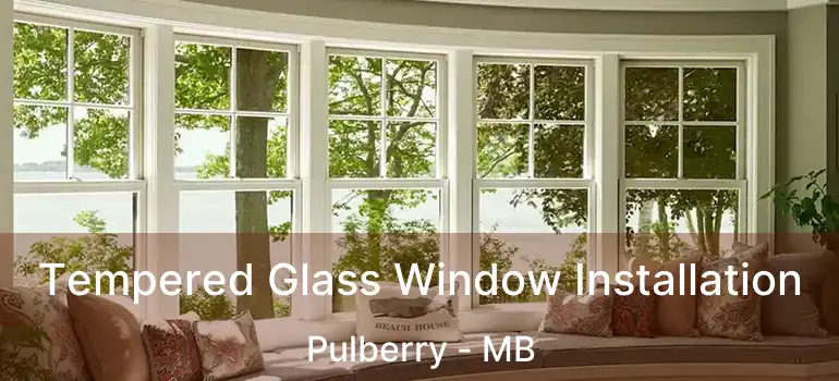  Tempered Glass Window Installation Pulberry - MB