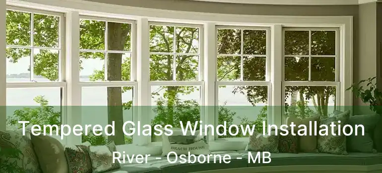  Tempered Glass Window Installation River - Osborne - MB