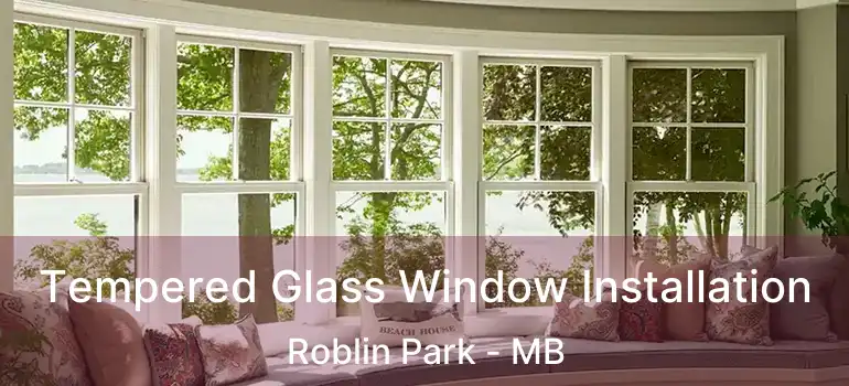  Tempered Glass Window Installation Roblin Park - MB