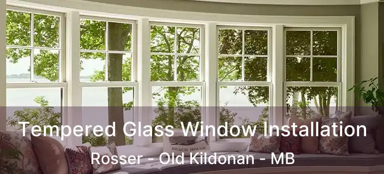  Tempered Glass Window Installation Rosser - Old Kildonan - MB