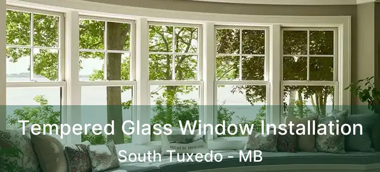 Tempered Glass Window Installation South Tuxedo - MB