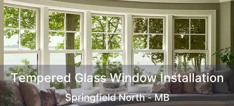  Tempered Glass Window Installation Springfield North - MB