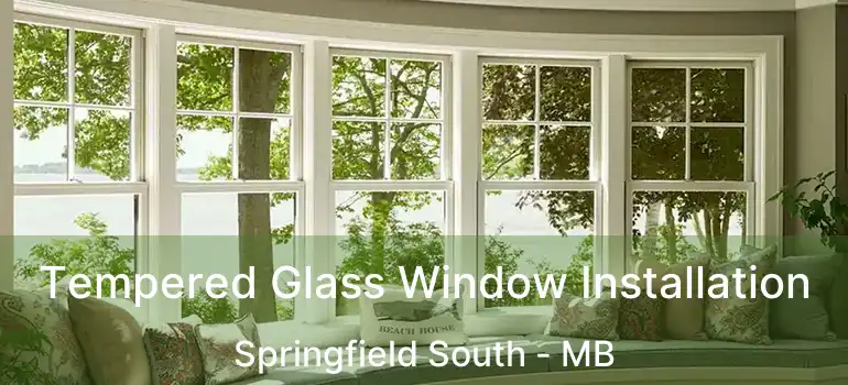  Tempered Glass Window Installation Springfield South - MB