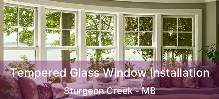  Tempered Glass Window Installation Sturgeon Creek - MB