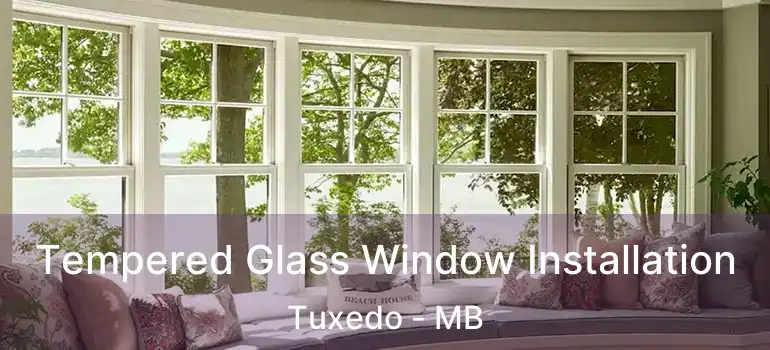  Tempered Glass Window Installation Tuxedo - MB