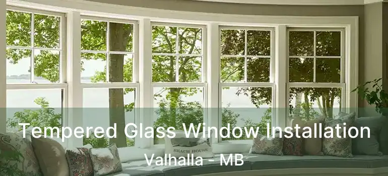  Tempered Glass Window Installation Valhalla - MB
