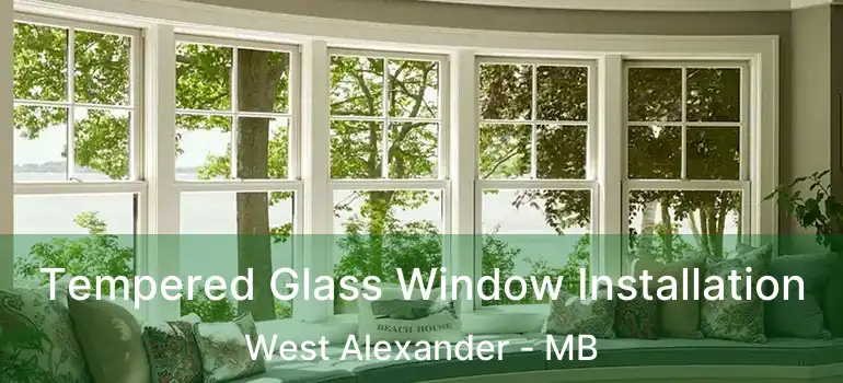  Tempered Glass Window Installation West Alexander - MB