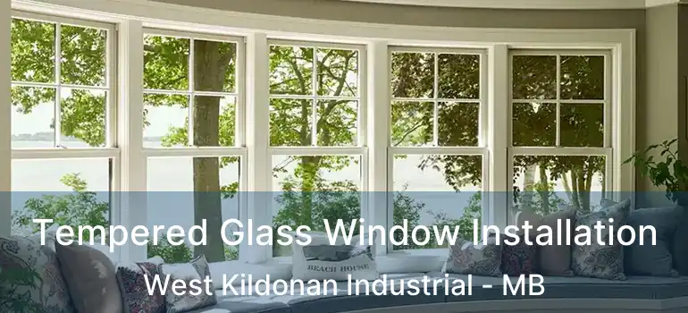  Tempered Glass Window Installation West Kildonan Industrial - MB