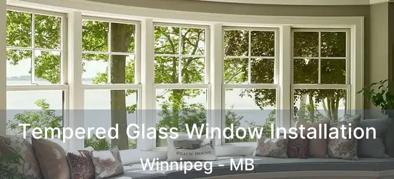  Tempered Glass Window Installation Winnipeg - MB