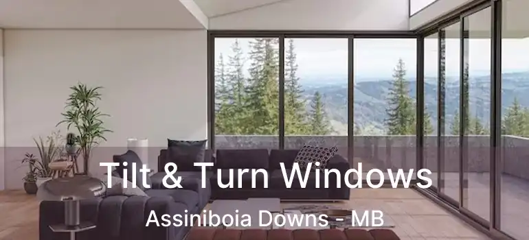  Tilt & Turn Windows Assiniboia Downs - MB