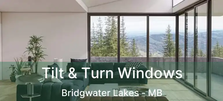  Tilt & Turn Windows Bridgwater Lakes - MB