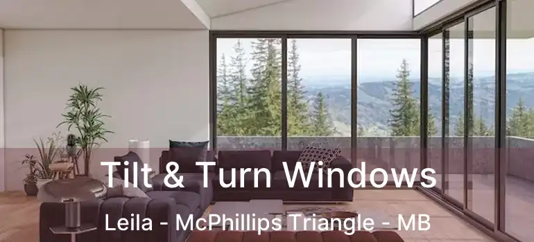  Tilt & Turn Windows Leila - McPhillips Triangle - MB