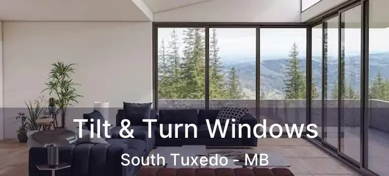  Tilt & Turn Windows South Tuxedo - MB