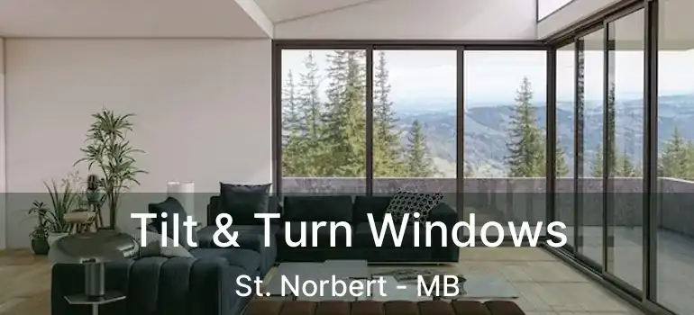  Tilt & Turn Windows St. Norbert - MB