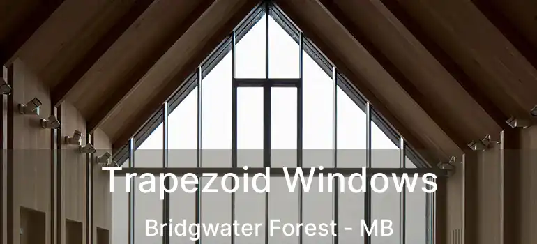  Trapezoid Windows Bridgwater Forest - MB